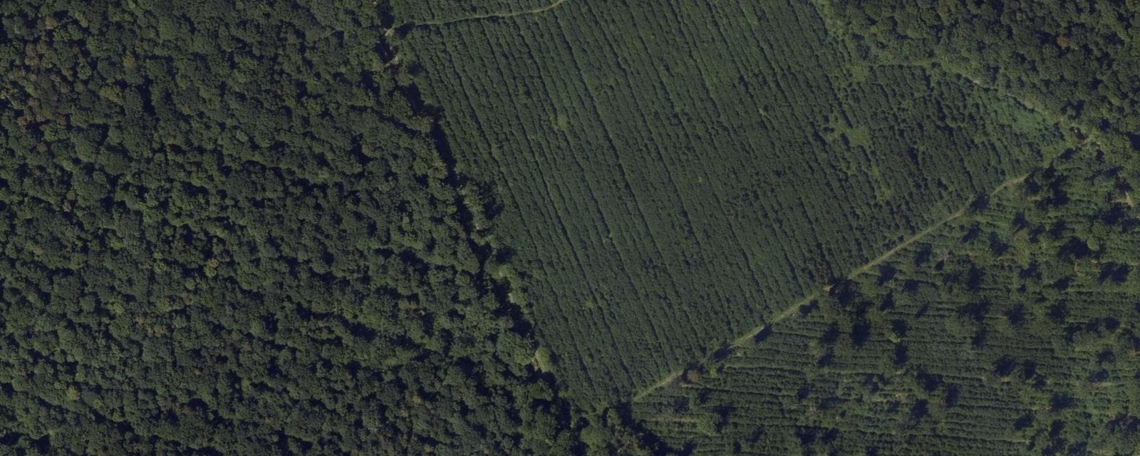 Vue aérienne de Montlognon (Oise)