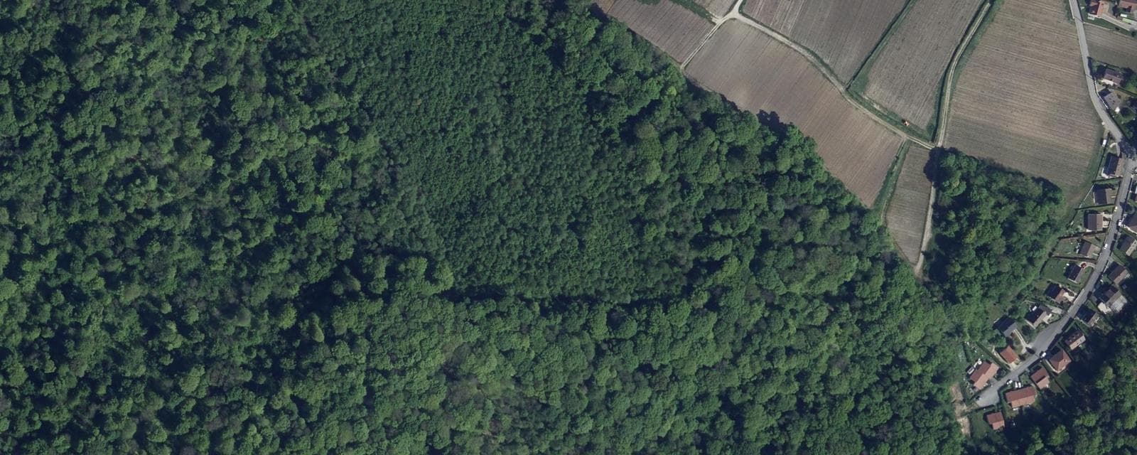 Vue aérienne de Chigny-les-Roses (Marne)