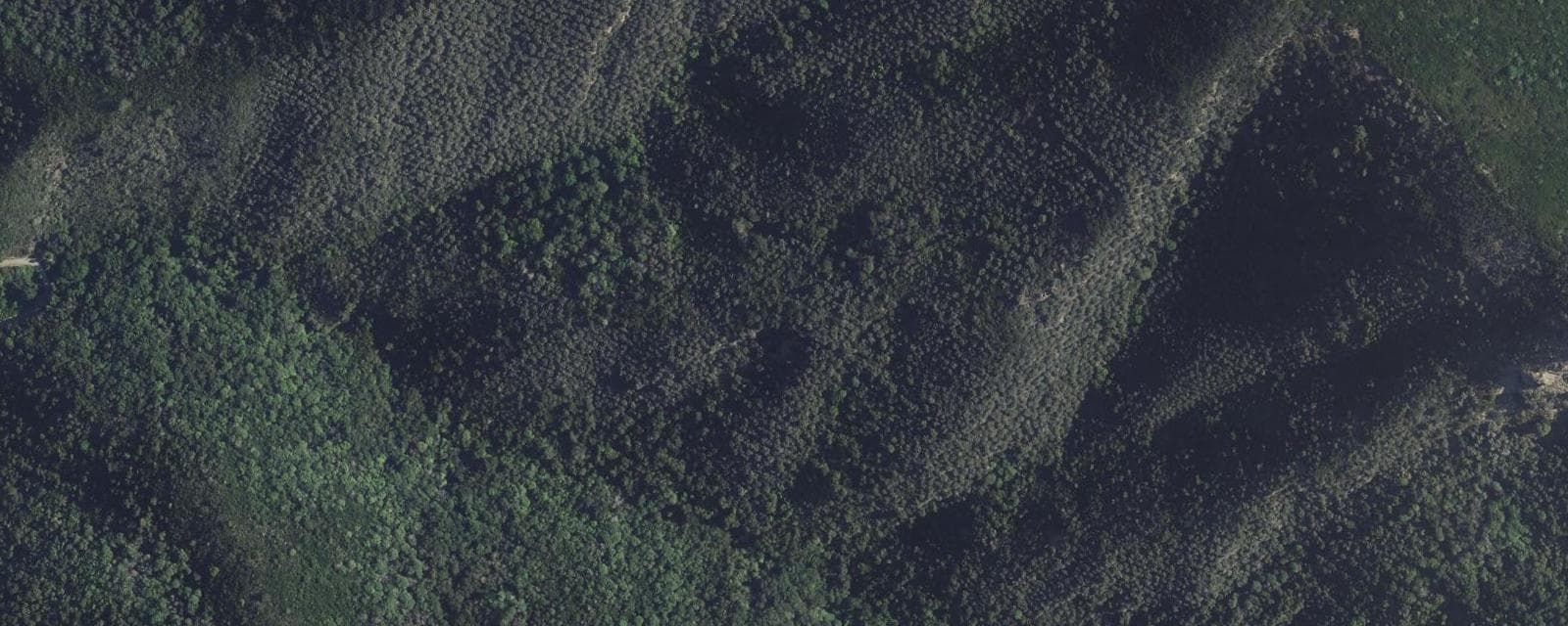 Vue aérienne de Monte (Haute-Corse)